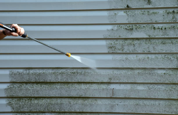 Best Water Damage Restoration  in Gorman, NC