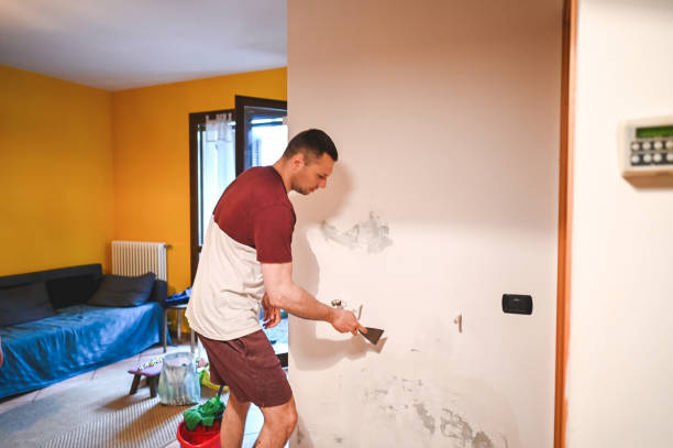 Best Emergency Mold Removal  in Gorman, NC